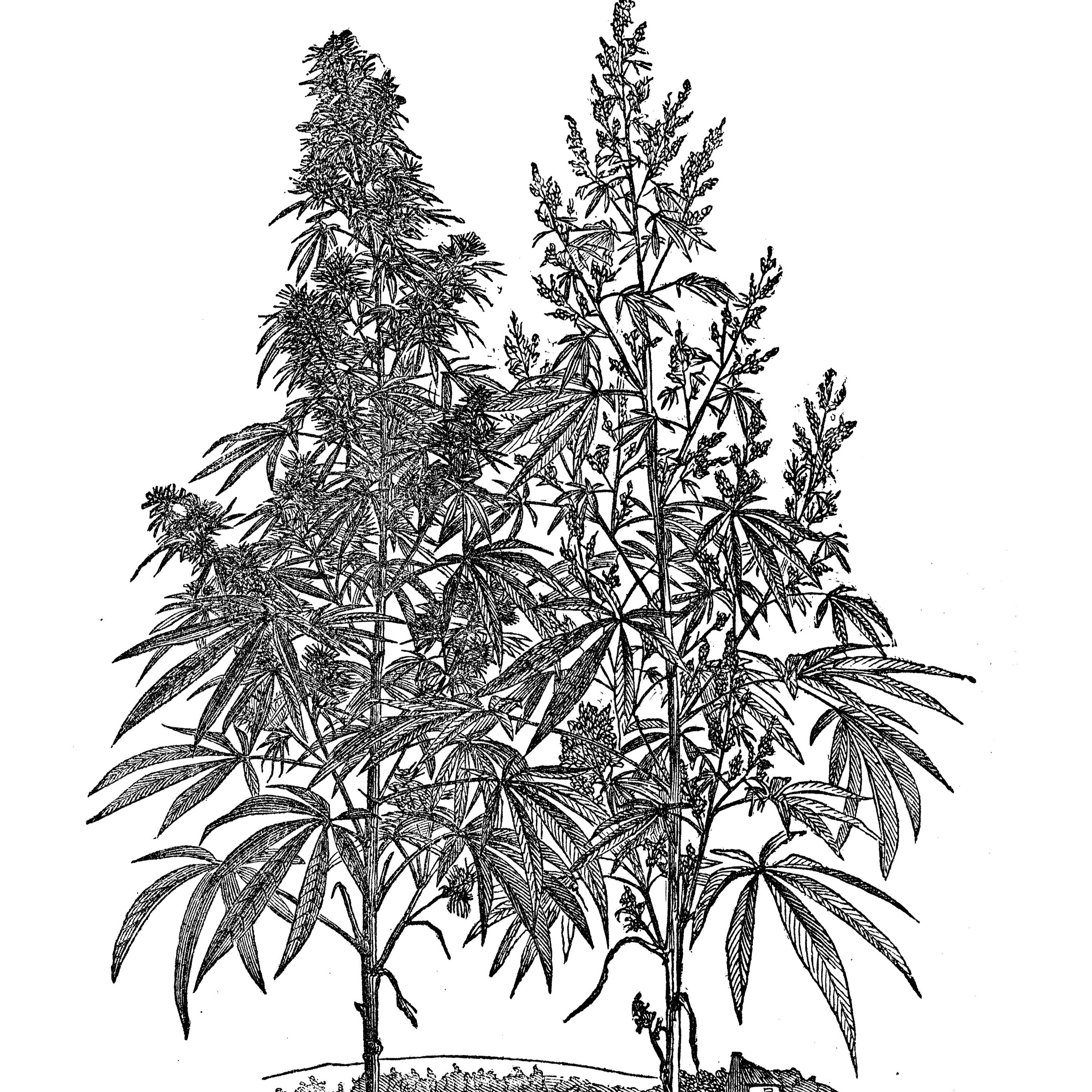 夏に嬉しい紫外線カット効果